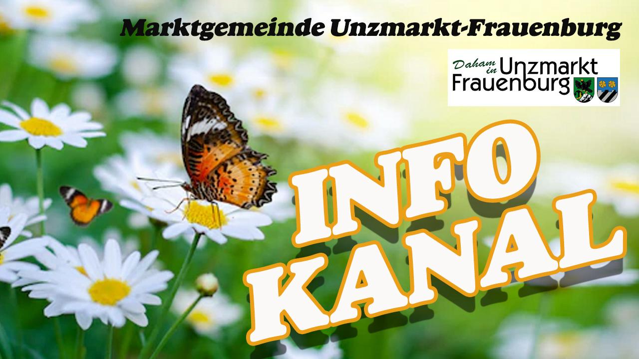 TV_bild