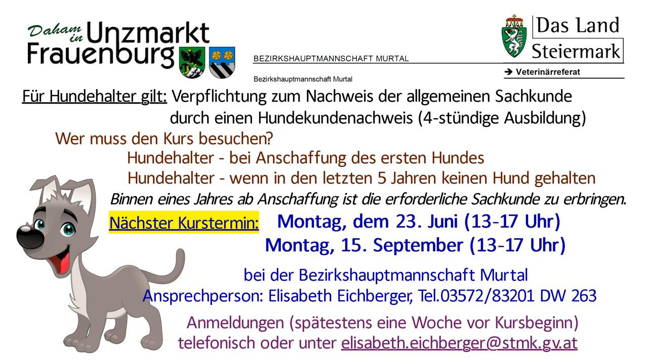 TV_bild