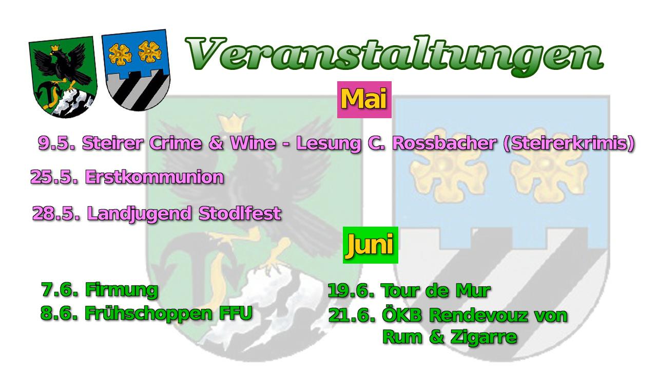 TV_bild