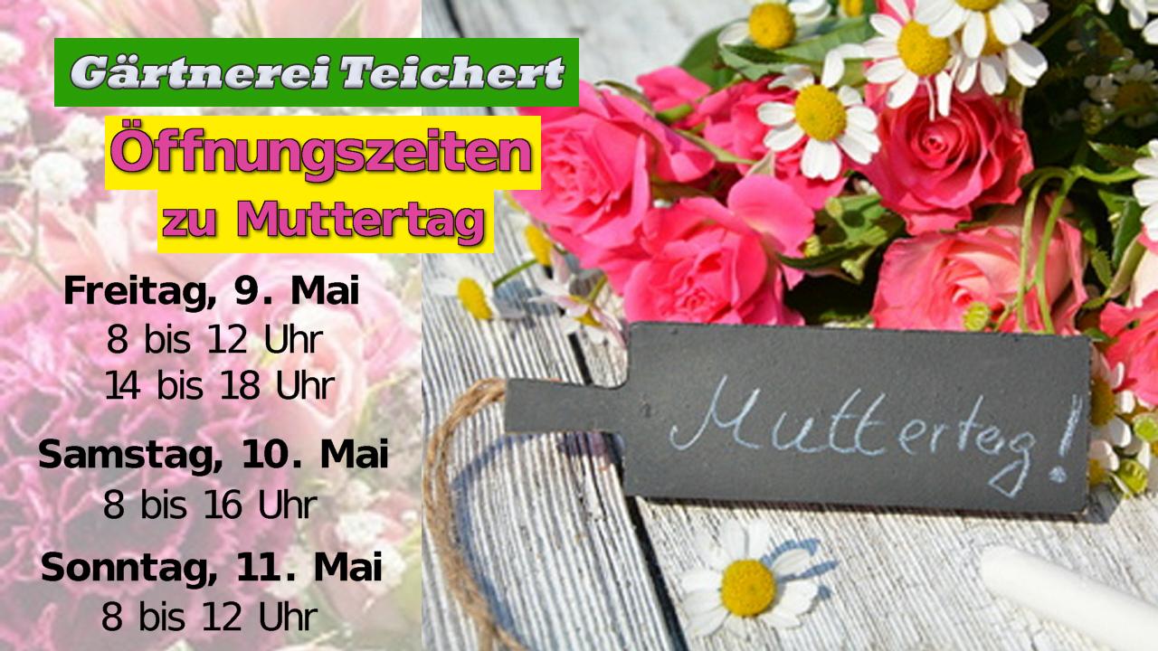 TV_bild