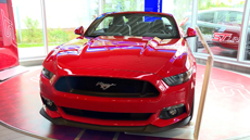Ford Reisinger Graz